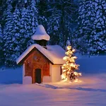With 1 Bedroom Feriehus *